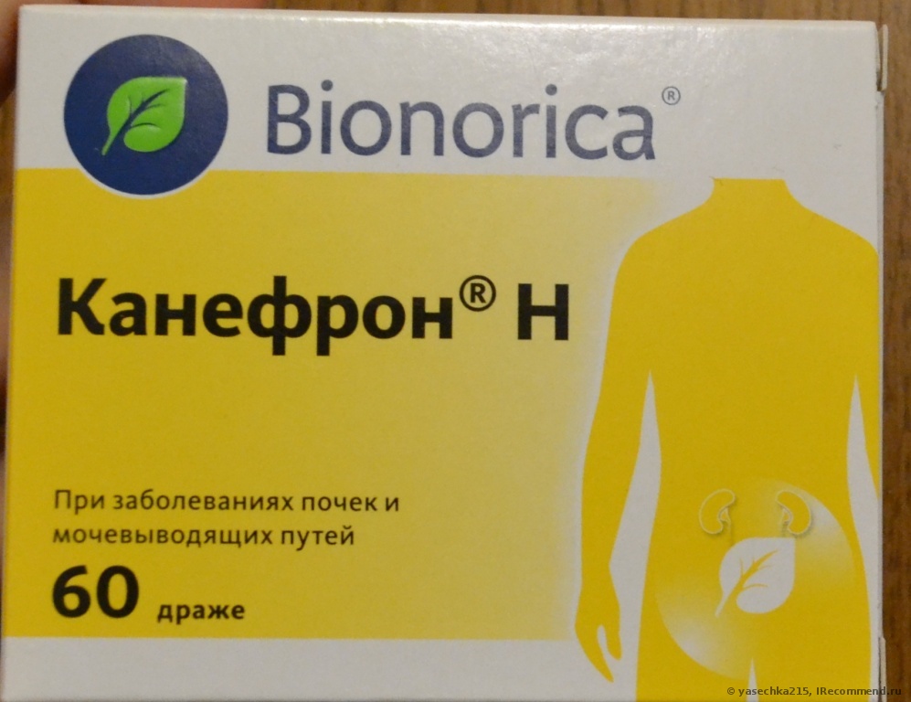 Как и когда применяют Канефрон при беременности?