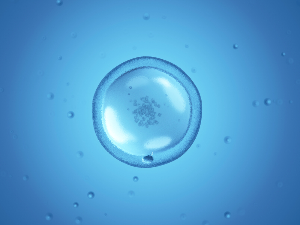 Общие признаки и присущие ощущения при наступлении овуляции