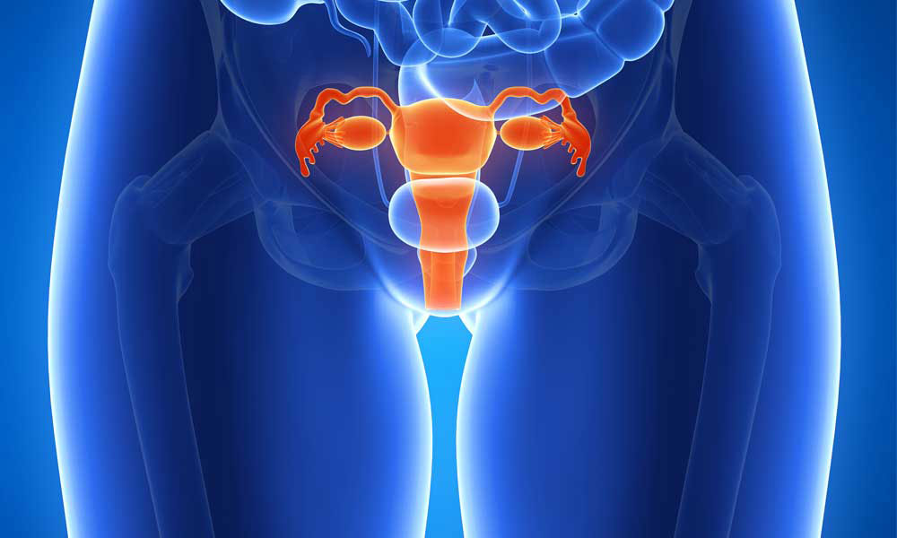 Типология и лечение полипов эндометрия