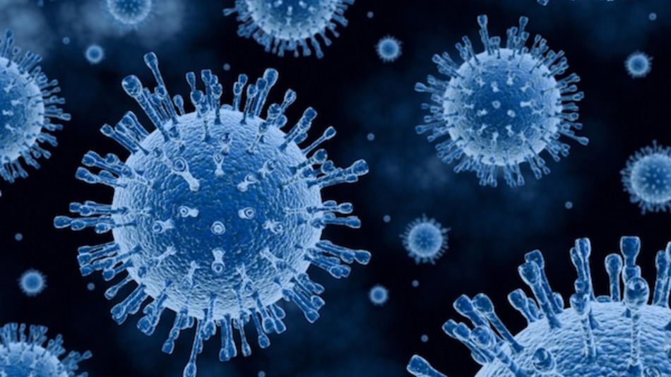 Цитомегаловирус — опасно ли это?