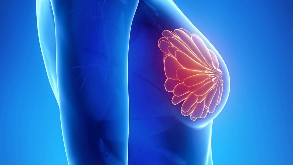 Причины и последствия повышенного пролактина у женщины