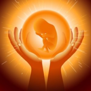 Иллюстрация 2