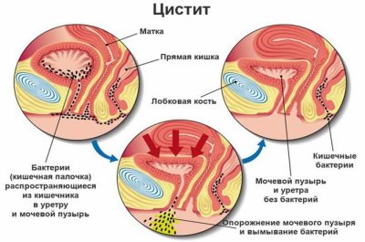 Иллюстрация 11