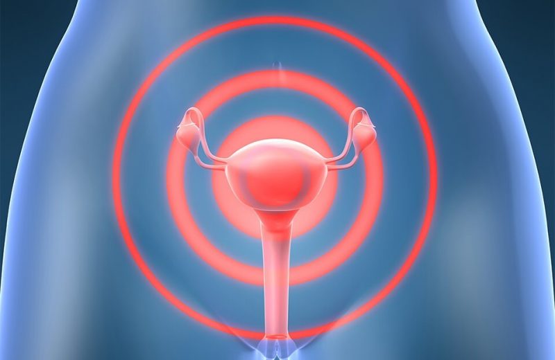 Каковы нормы толщины эндометрия в соответствии со днями цикла?