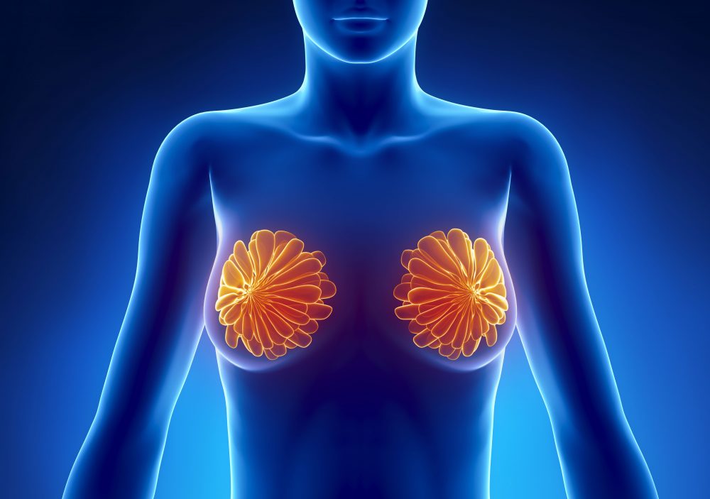 Все, что нужно знать о фиброзно–жировой инволюции молочных желез