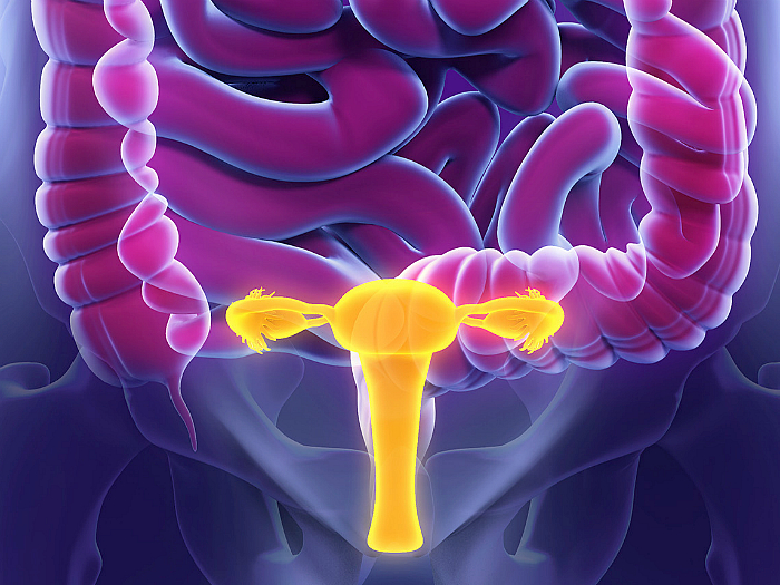 Как проявляется и лечится гиперкератоз шейки матки