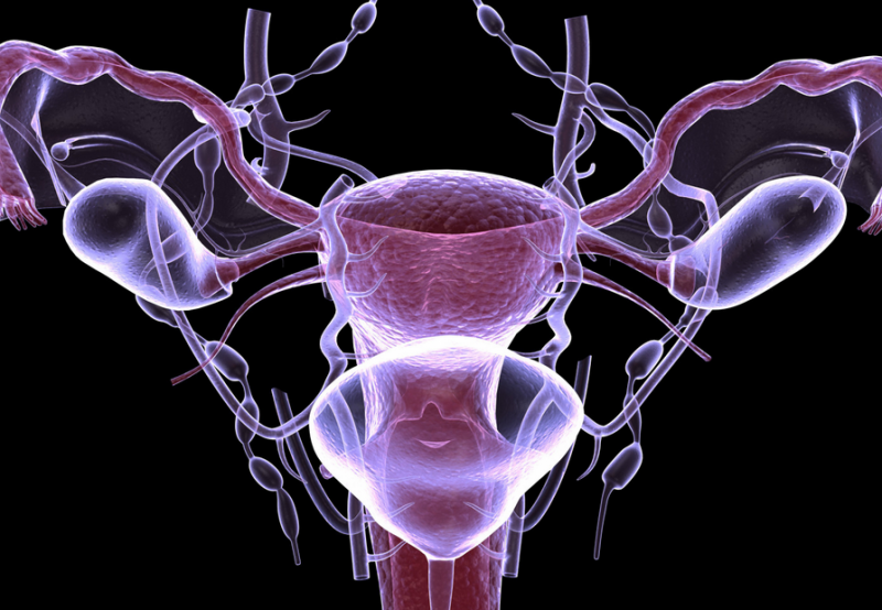 Причины, признаки и лечение лютеиновой недостаточности