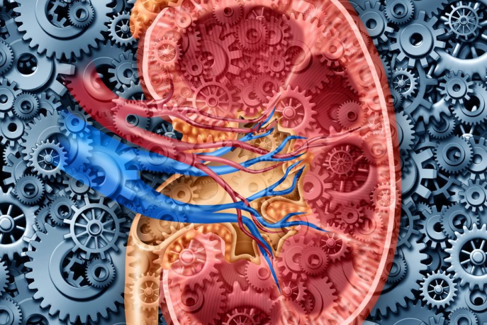 Почечное давление: синдром артериальной гипертензии