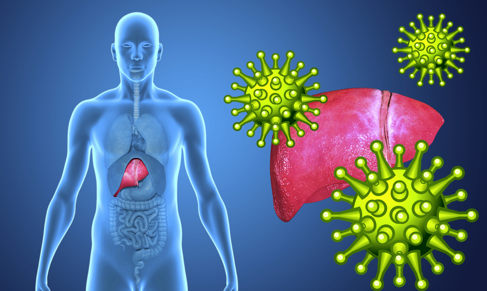 Картинки вирусного гепатита с