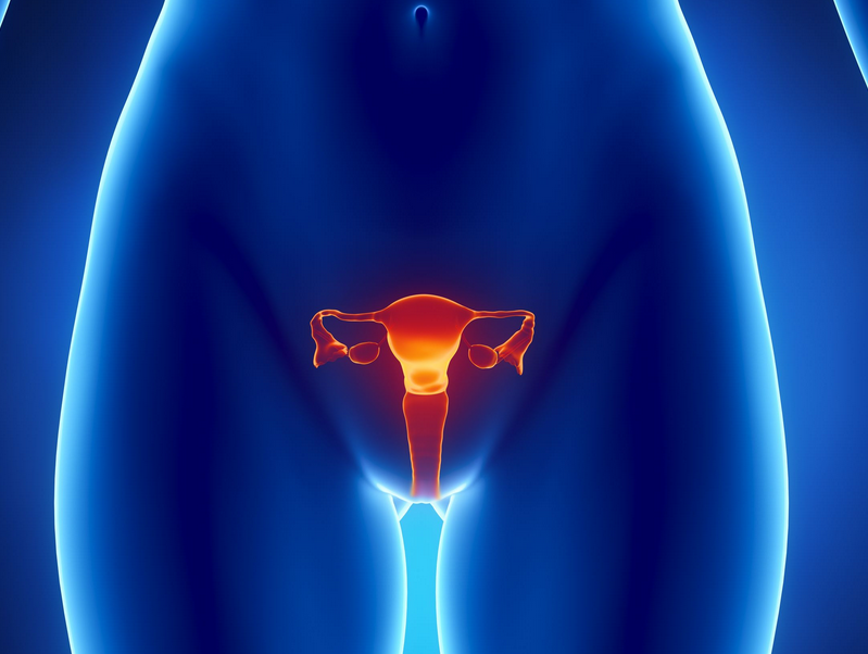 Кандидозный кольпит: признаки и лечение патологии