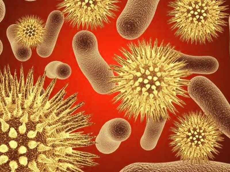 Можно ли заразиться уреаплазмой при поцелуе