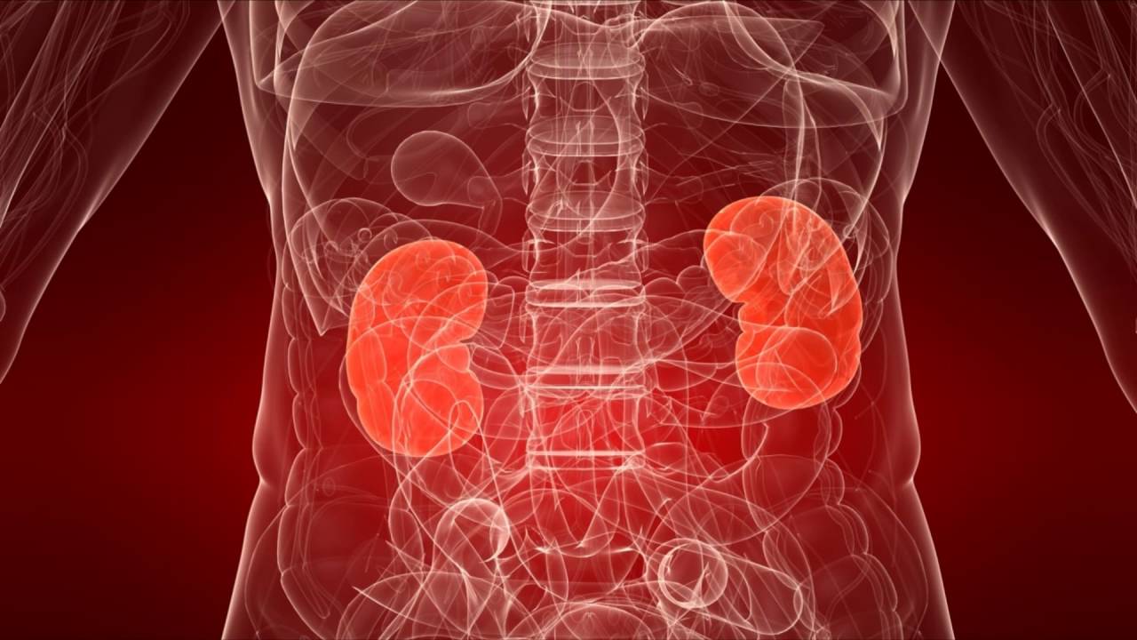 Что такое удвоение правой или левой почки