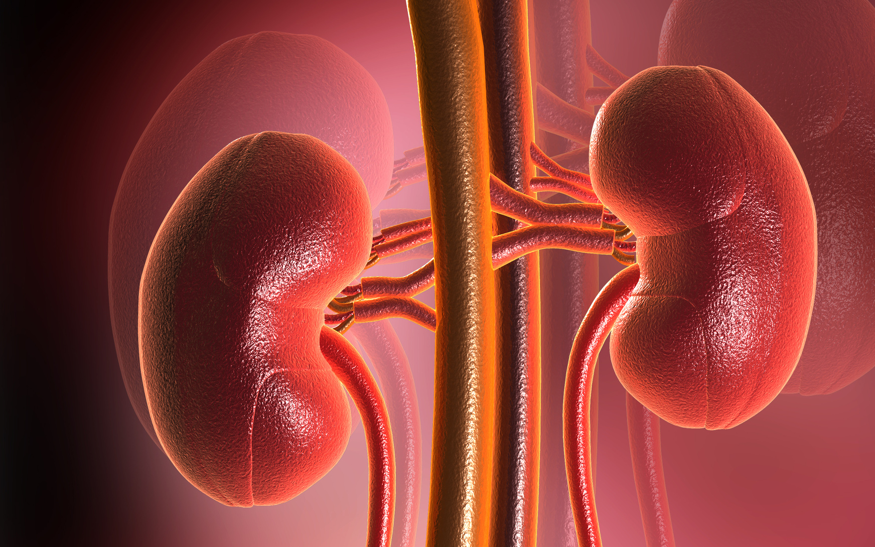 Хроническая почечная недостаточность: причины, симптомы и лечение