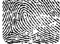 Препараты эстрогенов и гестагенов (эстрадиол, этинилэстрадиол, гексэстрол, прогестерон)