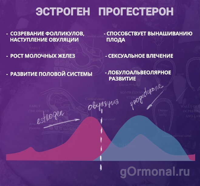 Эстроген и прогестерон: как влияют на женщину и на ее организм