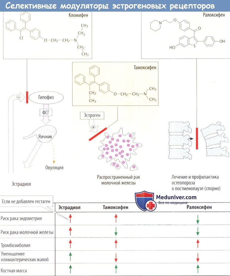Принципы антиэстрогенной и антигестогенной терапии
