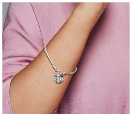 Браслеты Pandora Moments