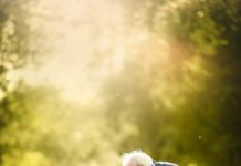 Пансионаты для пожилых людей: особенности