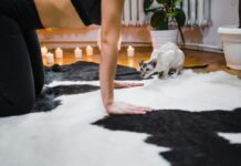 Химчистка ковров: Всё, что нужно знать