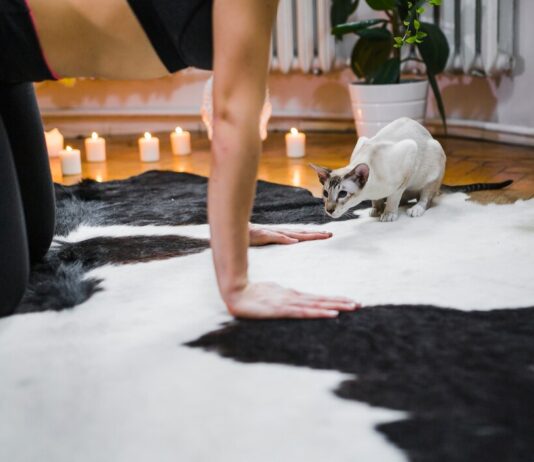 Химчистка ковров: Всё, что нужно знать