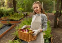 Вкусно и натурально: все о выращивании овощей в огороде своими руками