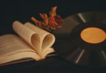 Автор стихотворения Вот моя деревня вот мой дом родной