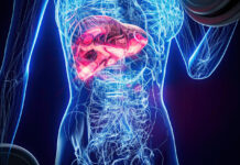 Таблетки для печени: подробное руководство по выбору, действию и правильному применению современных препаратов для защиты, восстановления и поддержания здоровья печени