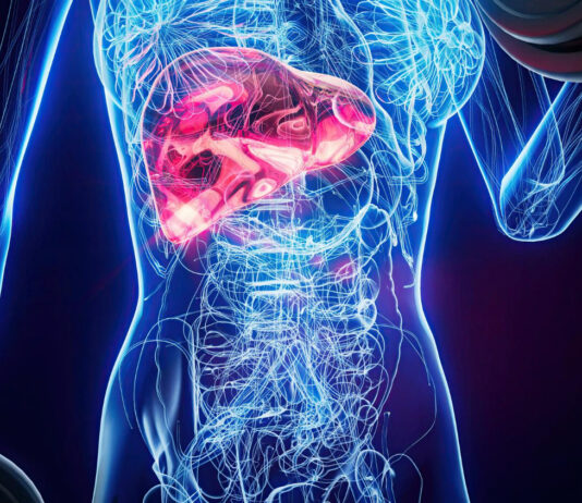 Таблетки для печени: подробное руководство по выбору, действию и правильному применению современных препаратов для защиты, восстановления и поддержания здоровья печени